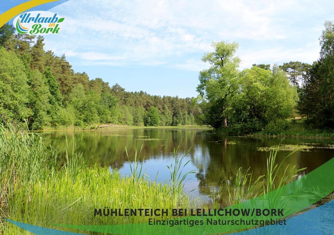 Jagd-Angler-Suite-04-Im-Wald-Am-See Kyritz Extérieur photo
